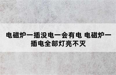 电磁炉一插没电一会有电 电磁炉一插电全部灯亮不灭